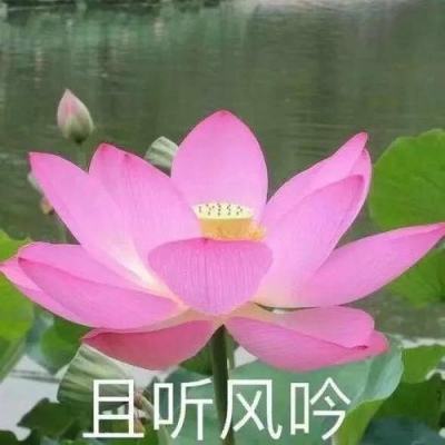 江苏沙钢集团讣告：集团董事局主席沈文荣因病逝世